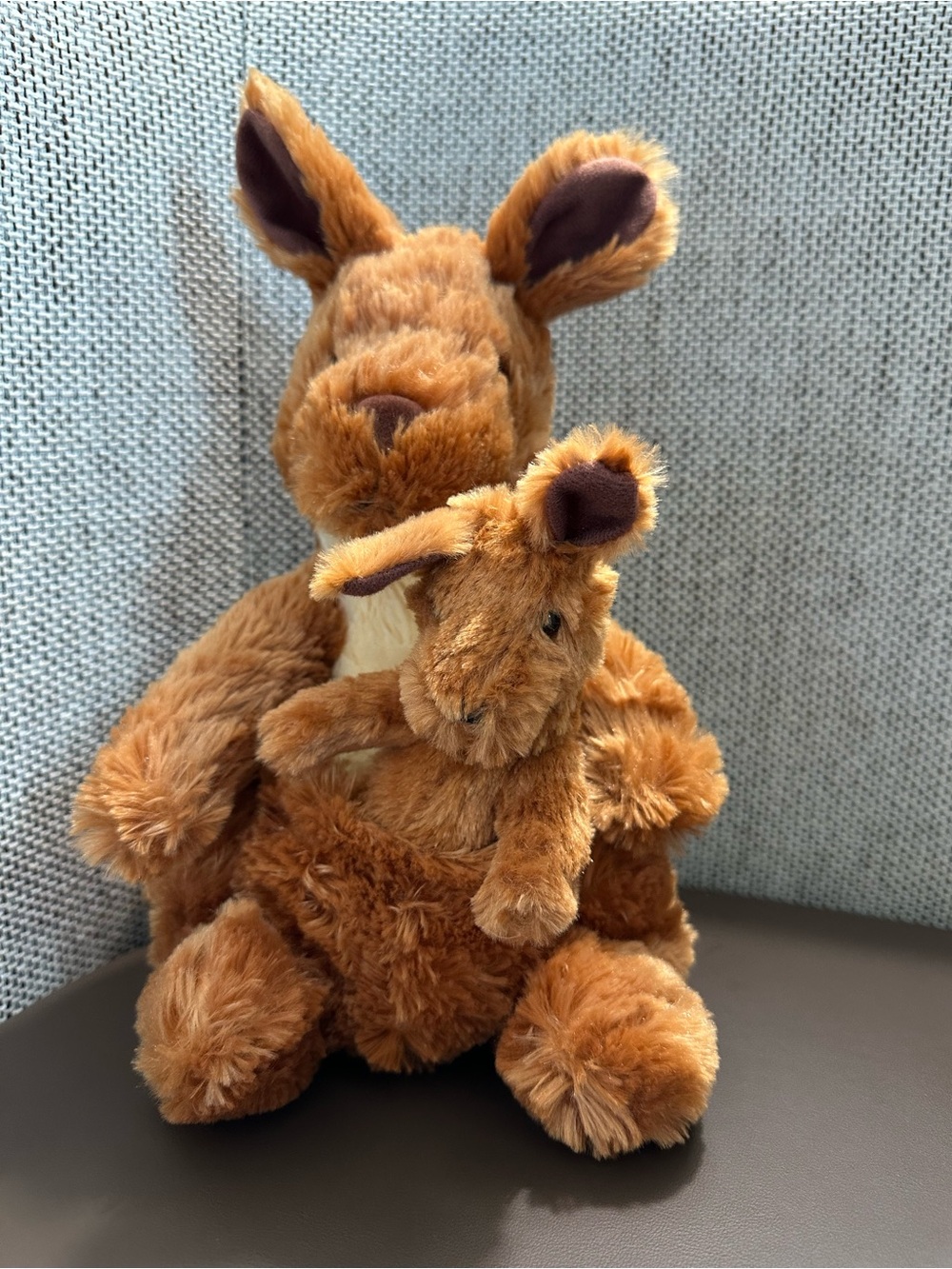 Mom Kangaroo and Joey in her pouch • so perfectly cute!